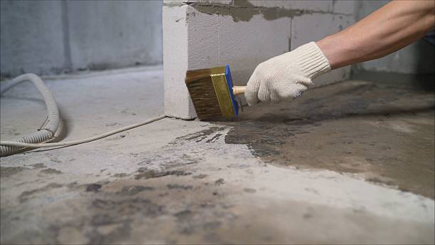 SJ Waterproofing Pros Basement Waterproofing coverage map for Woodstock, IL and surrounding area
